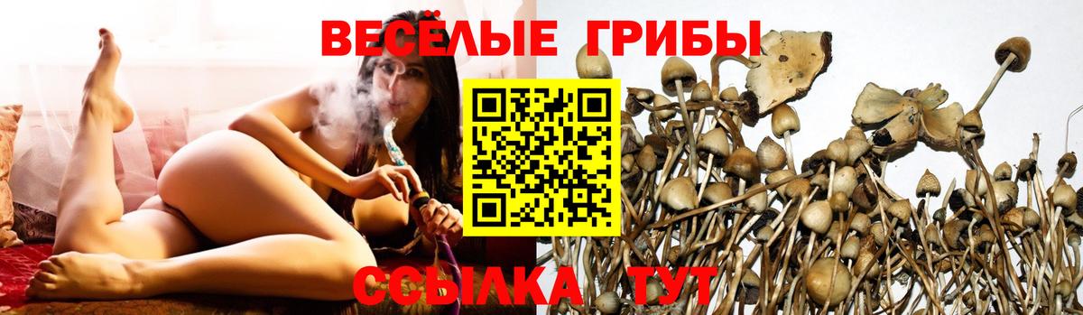 Псилоцибиновые грибы Psilocybe  Вход с VPN  где найти наркотики  Вичуга 